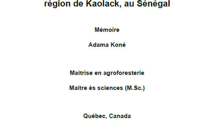Impacts socioéconomiques de l’utilisation de la jachère forestière améliorée pour la récupération des terres salées dans la région de Kaolack, au Sénégal