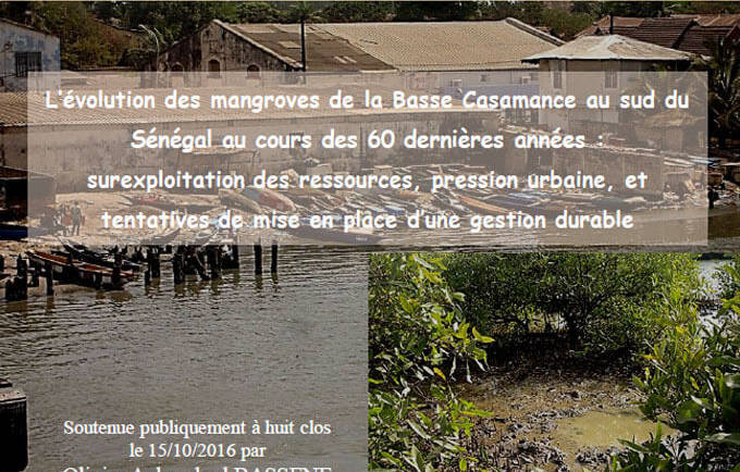 L’évolution des mangroves de la Basse Casamance au sud du Sénégal au cours des 60 dernières années : surexploitation des ressources, pression urbaine, et tentatives de mise en place d’une gestion durable