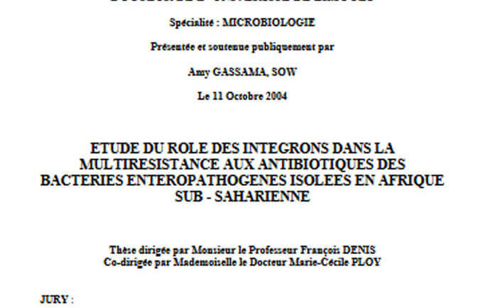 Etude du rôle des intégrons dans la multirésistance aux antibiotiques des bactéries entéropathogènes isolées en Afrique sub-saharienne