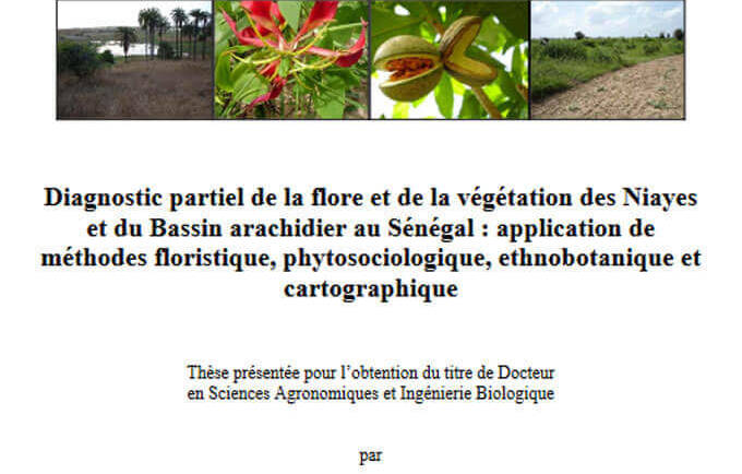 Diagnostic partiel de la flore et de la végétation des Niayes et du Bassin arachidier au Sénégal : application de méthodes floristique, phytosociologique, ethnobotanique et cartographique