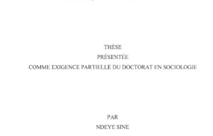 Microfinance et création de richesses : entre logiques domestiques et performances